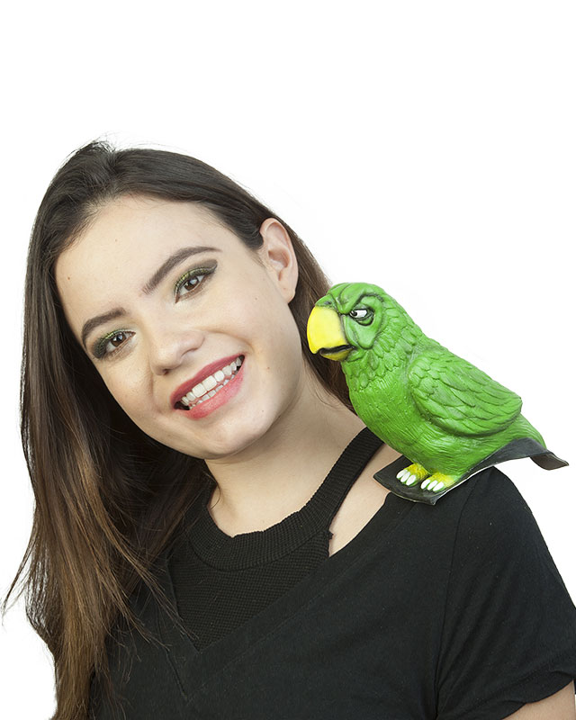 אביזרים לתחפושת פיראט