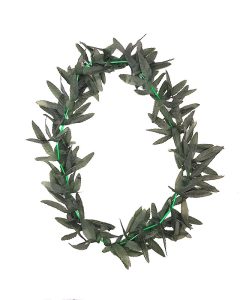 תחפושת היפי