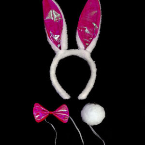 תחפושת שפנפנה