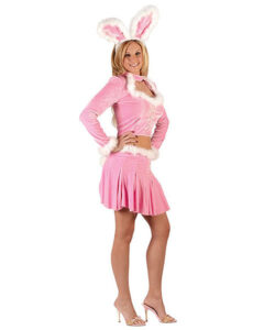 תחפושות של חיות