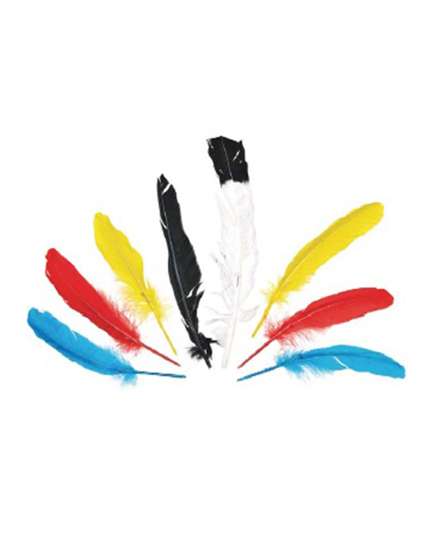 נוצות לתחפושות שונות