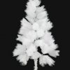 עץ אשוח לבן לכריסמס