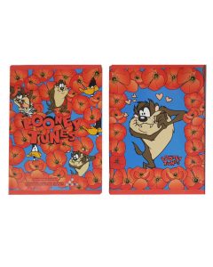 מחברות חשבון מצויירות