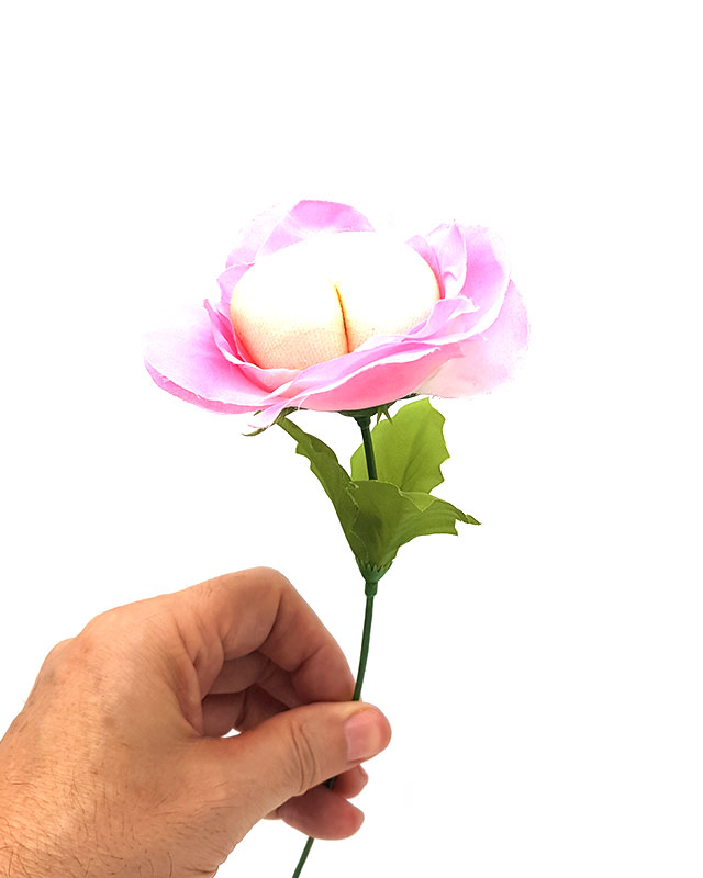 פרסים למבוגרים