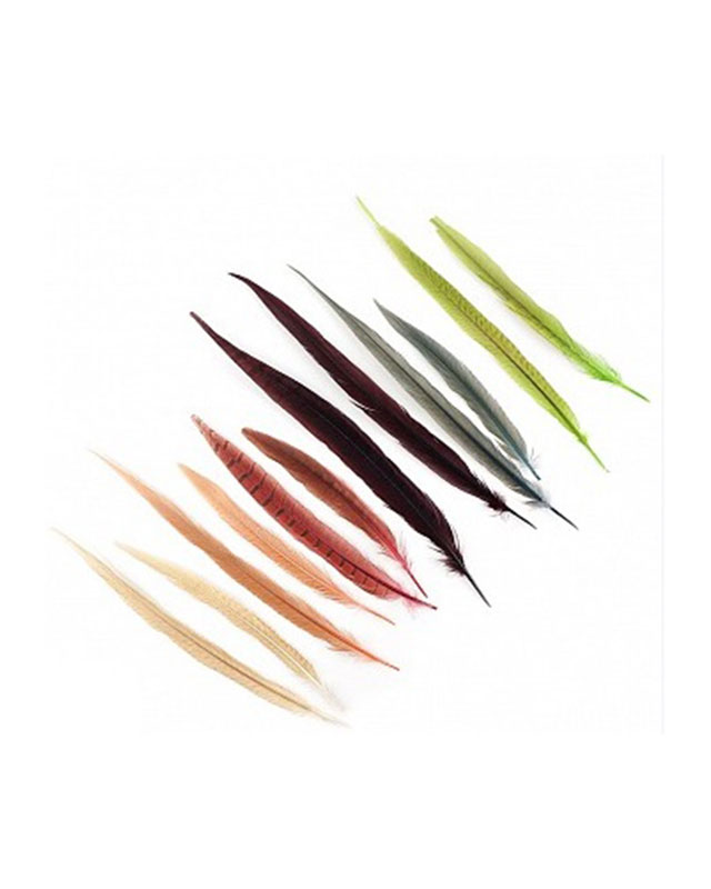 נוצה ארוכה לתחפושת