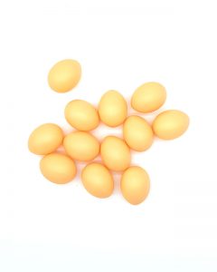 ביצה מפלסטיק