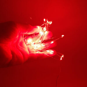 נוריות לקישוט