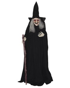 מכשפות לאספנות