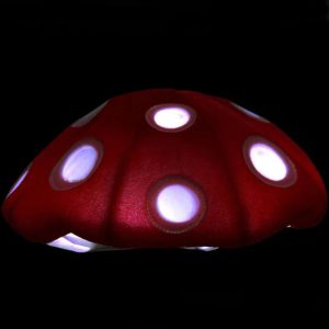 כובעים עם תאורה