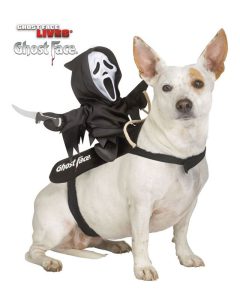 תחפושות לכלבים