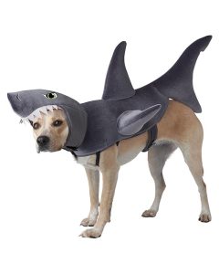 תחפושות לכלבים