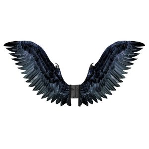 כנפיים לתחפושת עורב