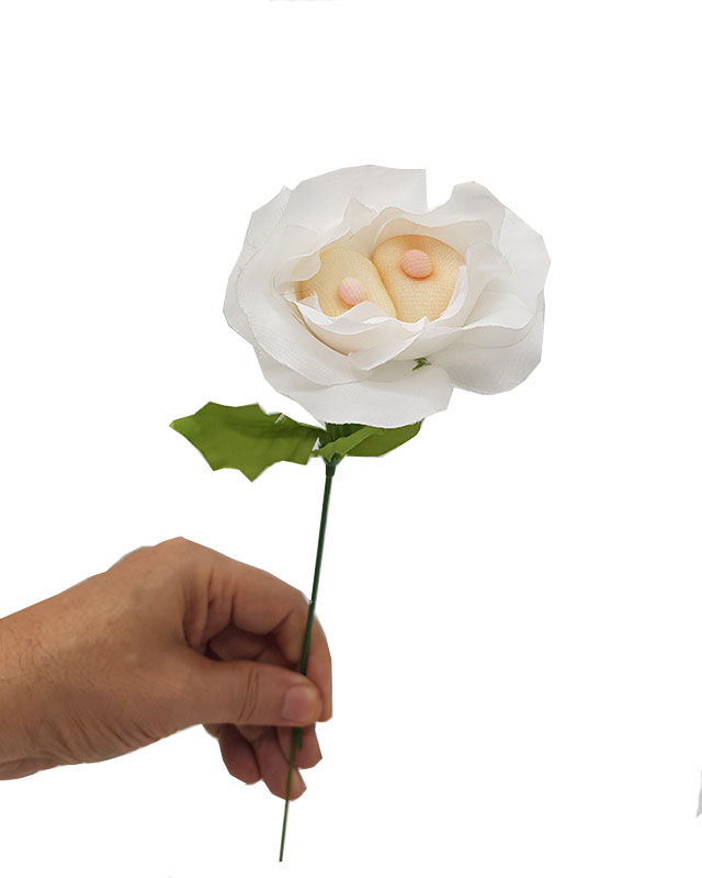 פרסים למסיבת רווקים