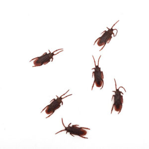 טריקים מפחידים