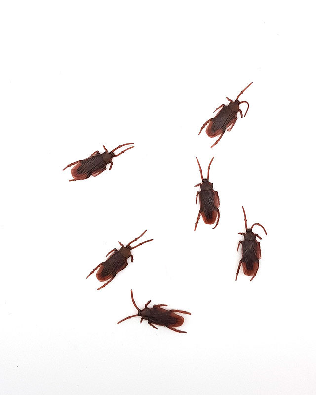 טריקים מפחידים