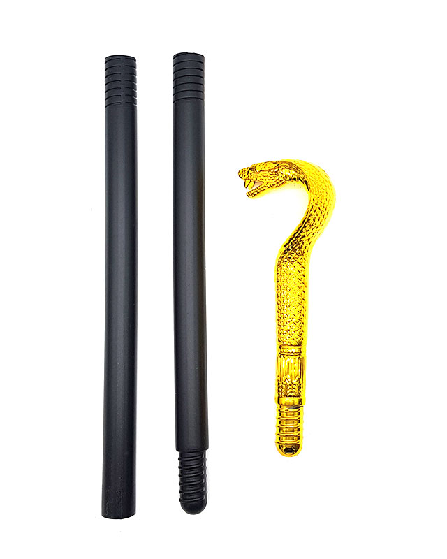 תחפושת פרעה