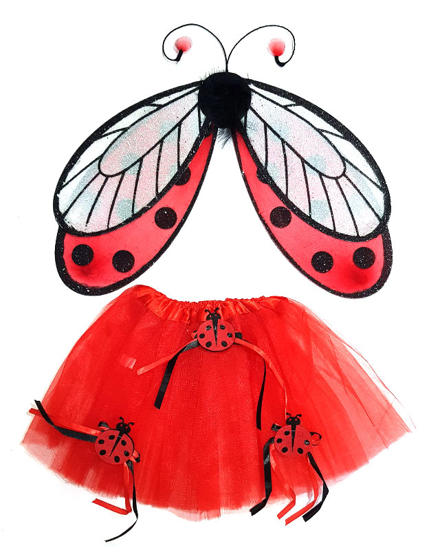 תחפושת חיפושית